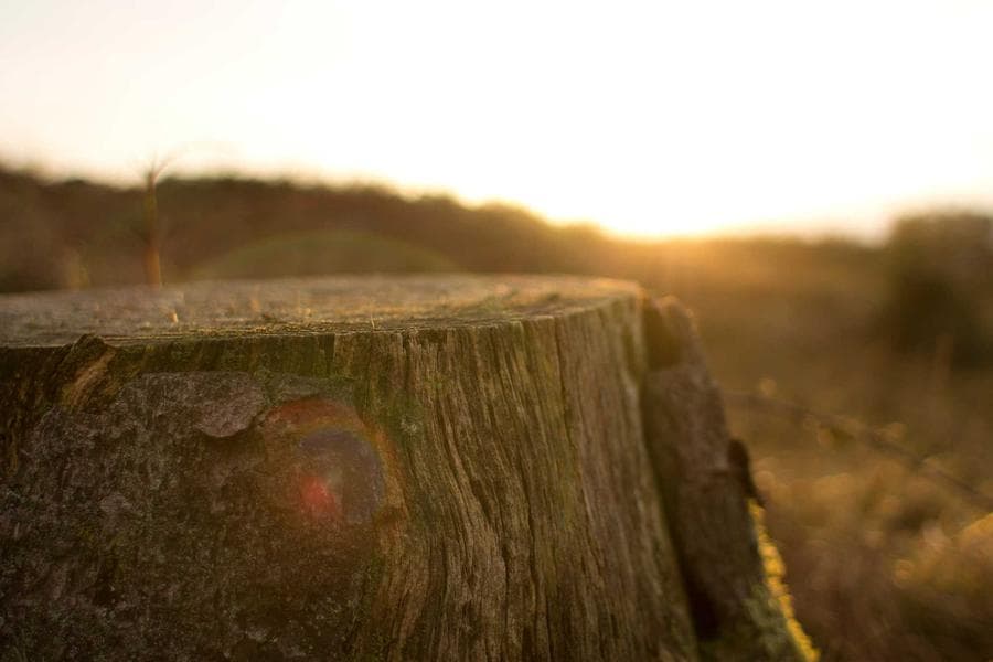 Cinematic LUTs Vol. 2