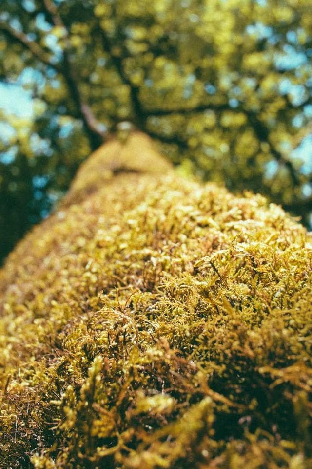 Cinematic LUTs Vol. 2 3