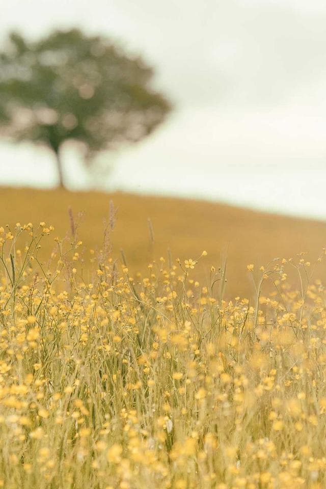 Seamless Transitions 4K 3